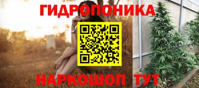 индика Бийск