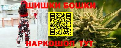 индика Бийск
