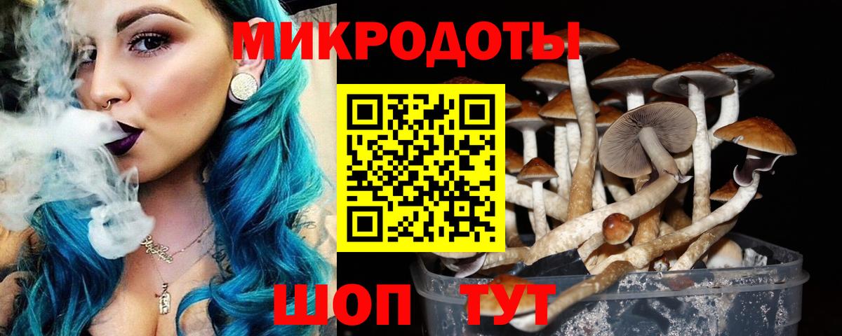 Кемерово  Псилоцибиновые грибы ЛСД  Вход с VPN 