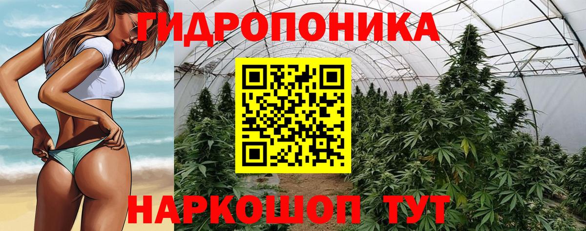 Шишки марихуана сатива Кемерово